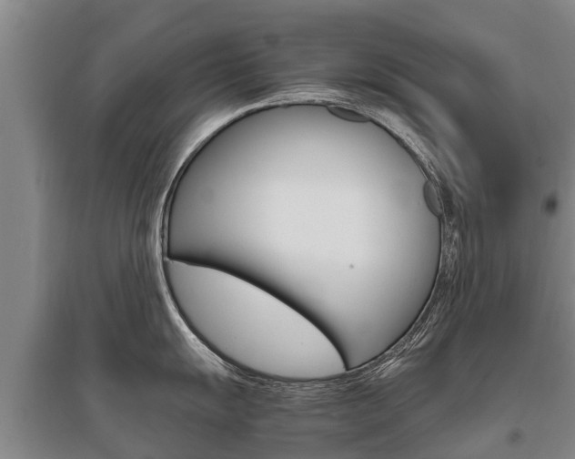 X0000095891055200801110824