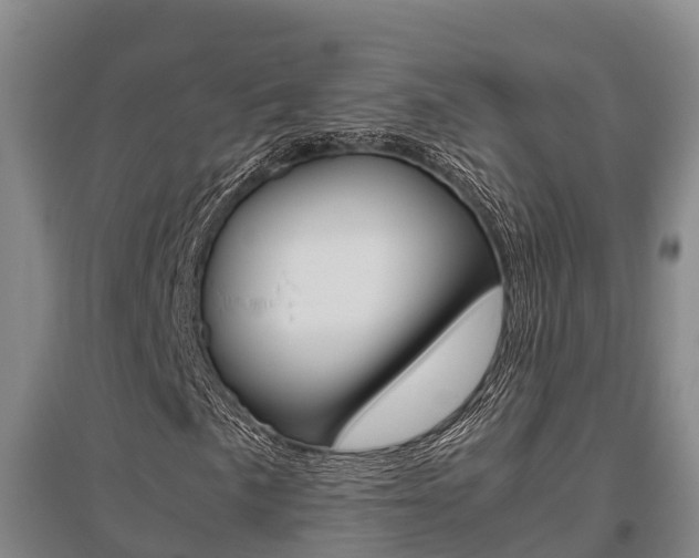 X0000095891057200801110823