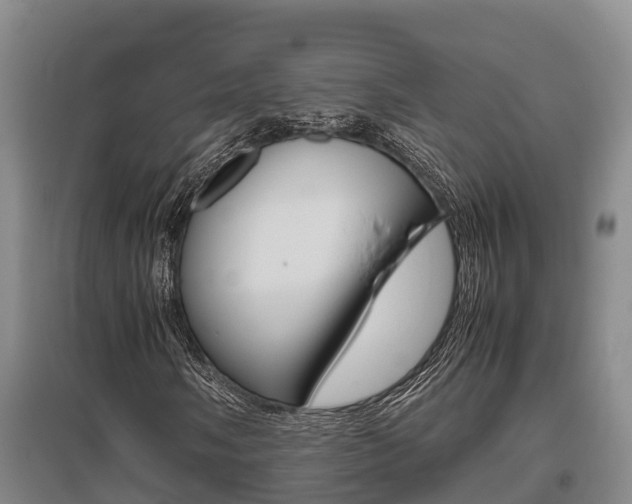 X0000095891058200801110823