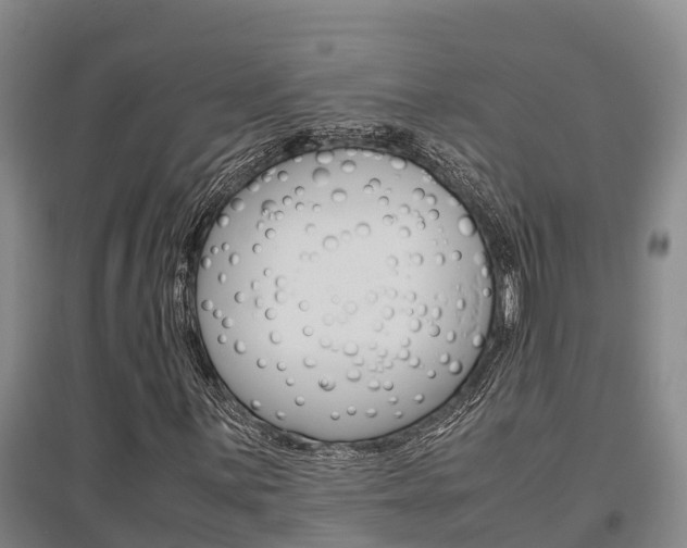 X0000095891059200801110823