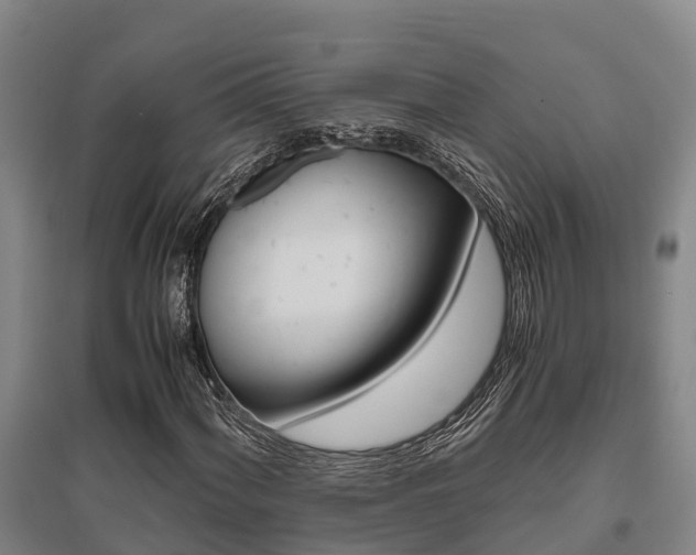 X0000095891060200801110823
