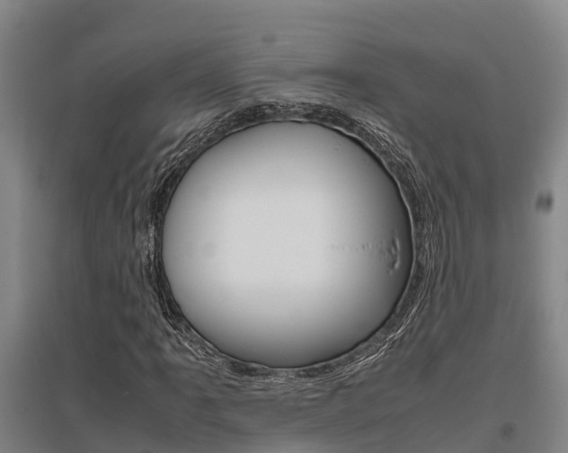 X0000095891061200801110823