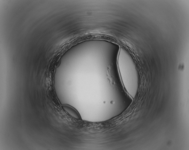 X0000095891062200801110823