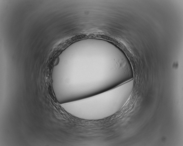 X0000095891063200801110823