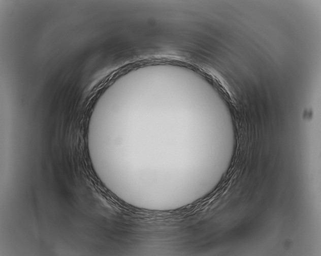 X0000095891064200801110823