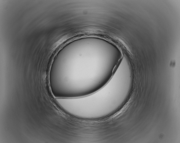 X0000095891065200801110823