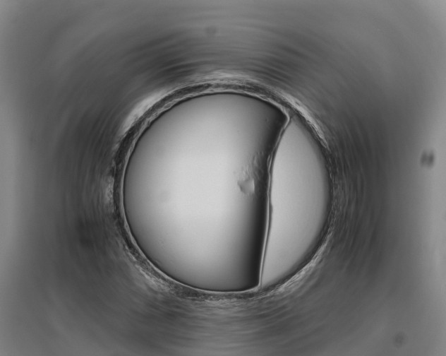 X0000095891066200801110823