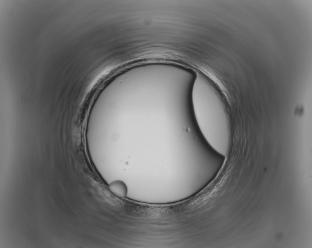 X0000095891067200801110823