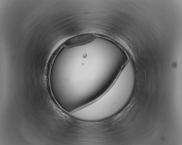 X0000095891068200801110823