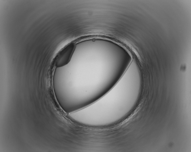 X0000095891069200801110823