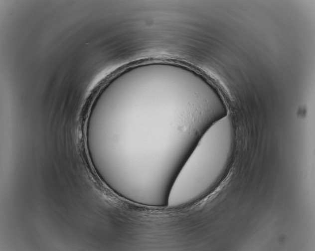 X0000095891070200801110823
