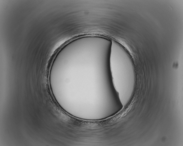 X0000095891071200801110823