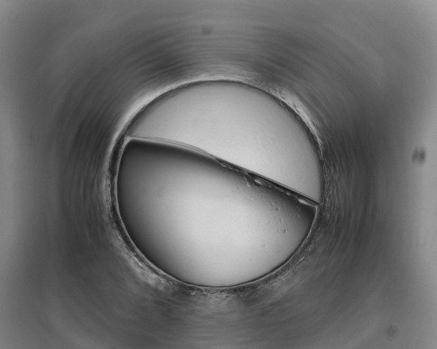 X0000095891072200801110823