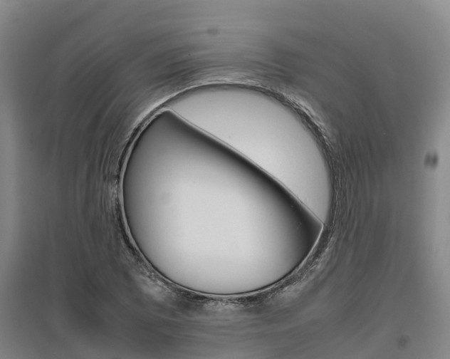 X0000095891073200801110823