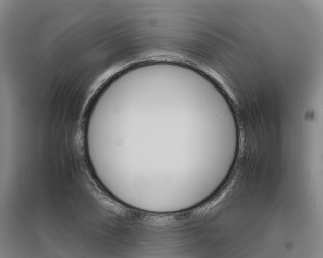 X0000095891074200801110823