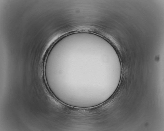 X0000095891075200801110823