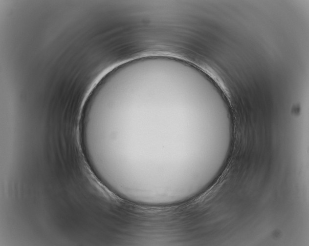 X0000095891076200801110823