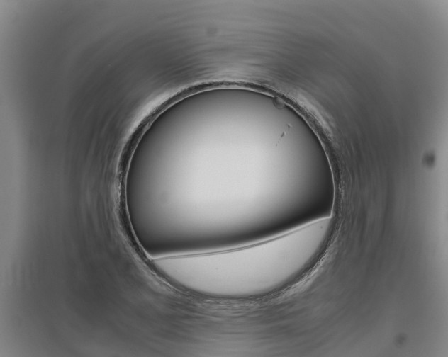 X0000095891077200801110823