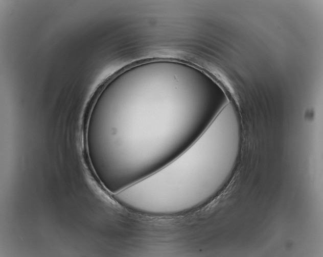X0000095891080200801110823