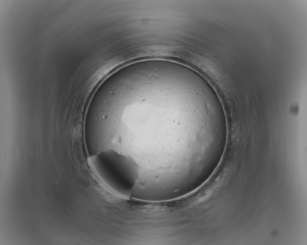X0000095891081200801110823