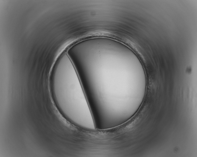 X0000095891082200801110823