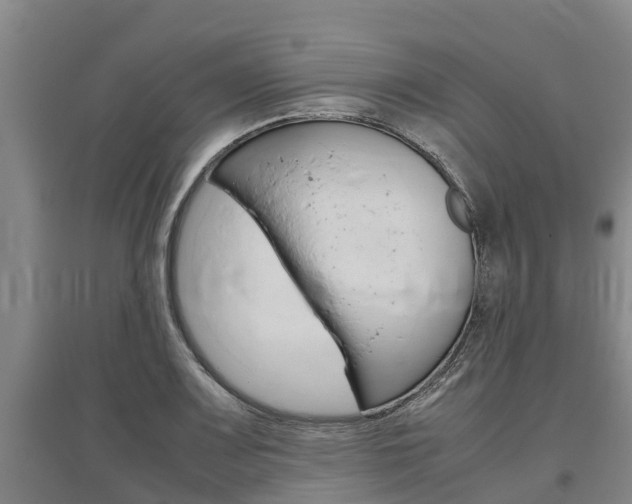 X0000095891083200801110823