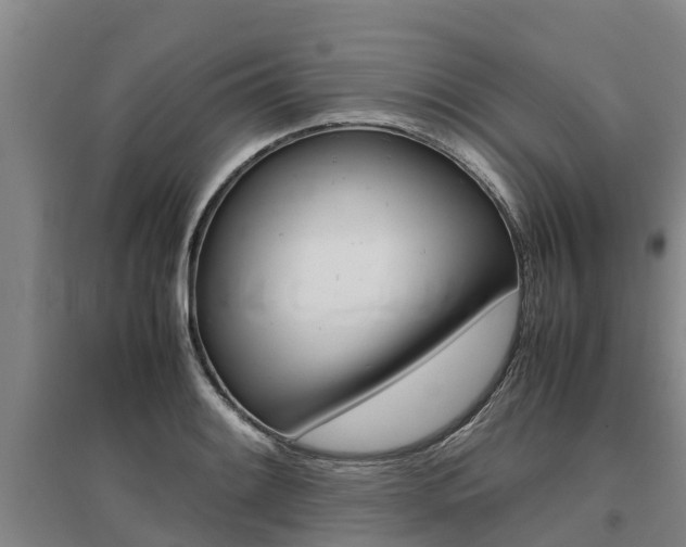 X0000095891084200801110823