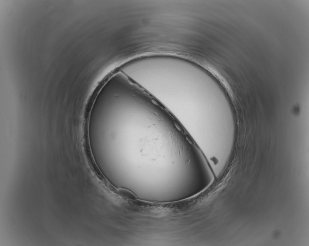 X0000095891085200801110823