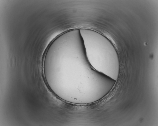 X0000095891087200801110823