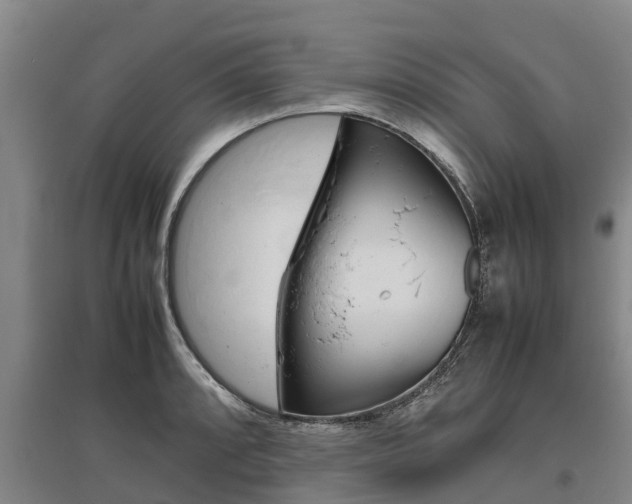 X0000095891088200801110823