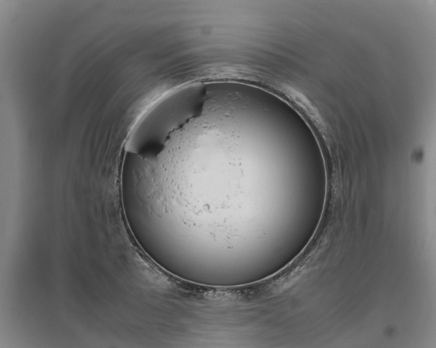 X0000095891089200801110823
