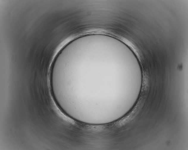 X0000095891090200801110823