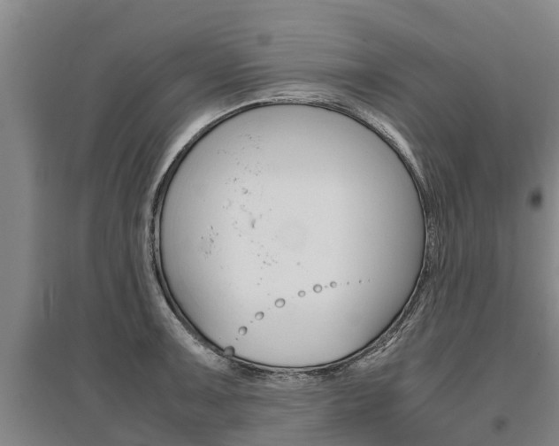X0000095891091200801110823