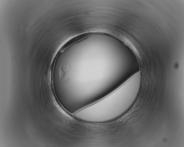 X0000095891092200801110823