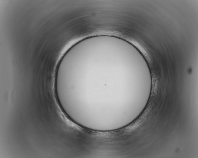 X0000095891094200801110823