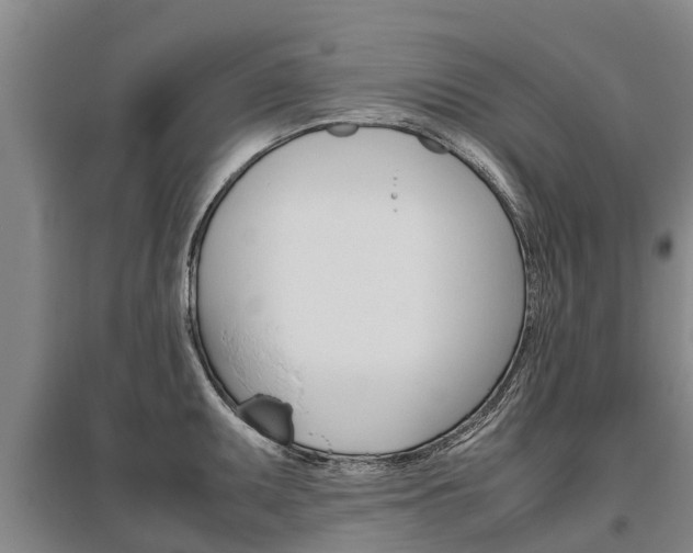 X0000095891095200801110823