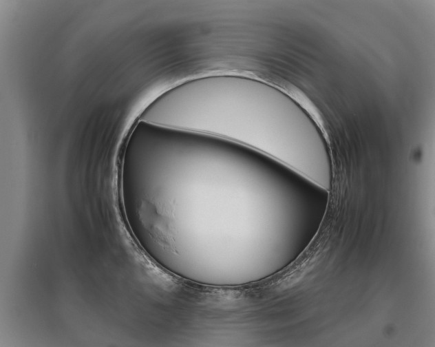 X0000095891096200801110823