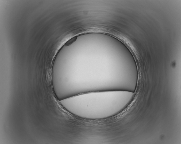 X0000095891097200801110823
