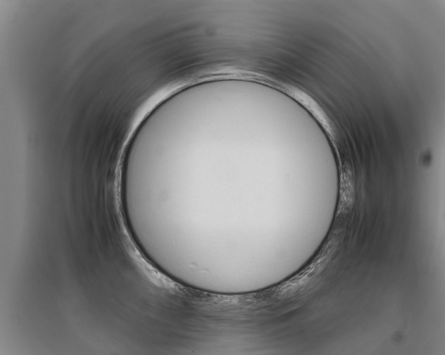 X0000095891098200801110823