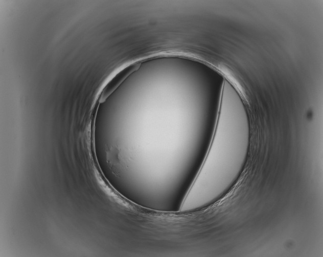 X0000095891100200801110823