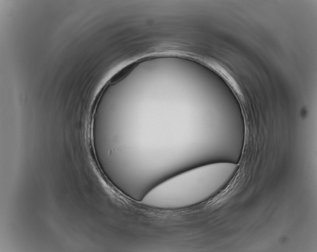 X0000095891101200801110823