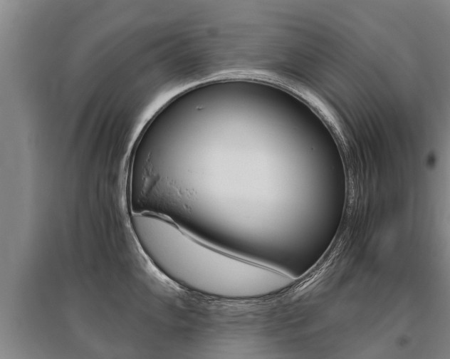 X0000095891102200801110823