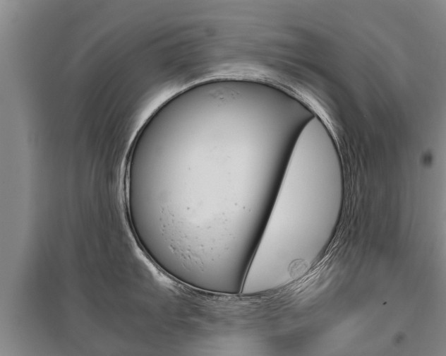 X0000095891103200801110823
