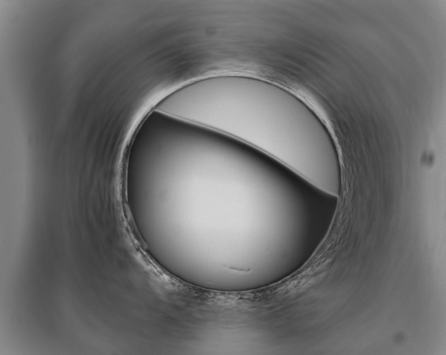 X0000095891104200801110823