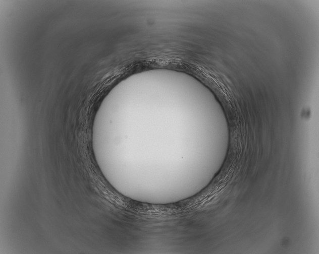 X0000095891105200801110822