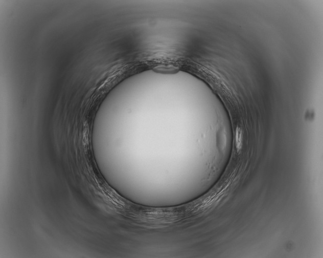 X0000095891107200801110822