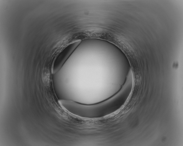 X0000095891108200801110822