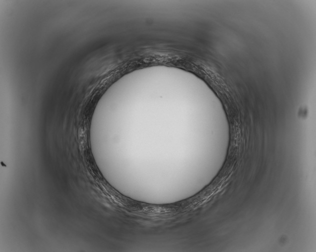 X0000095891109200801110822