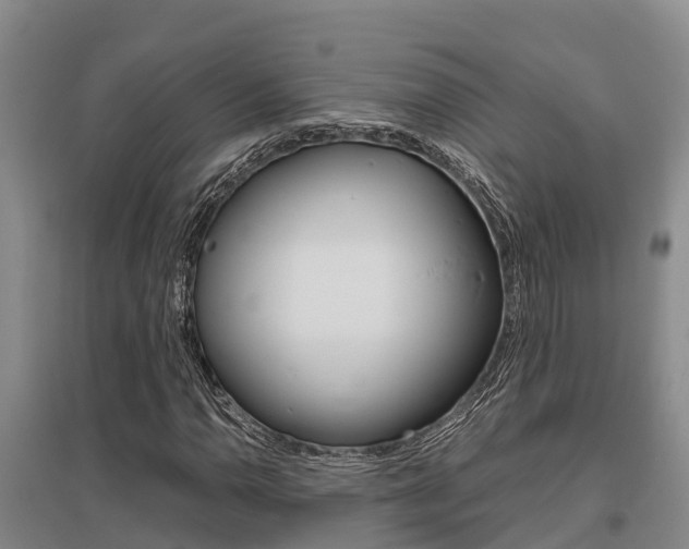 X0000095891110200801110822