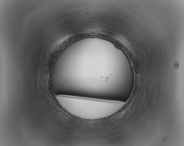 X0000095891111200801110822